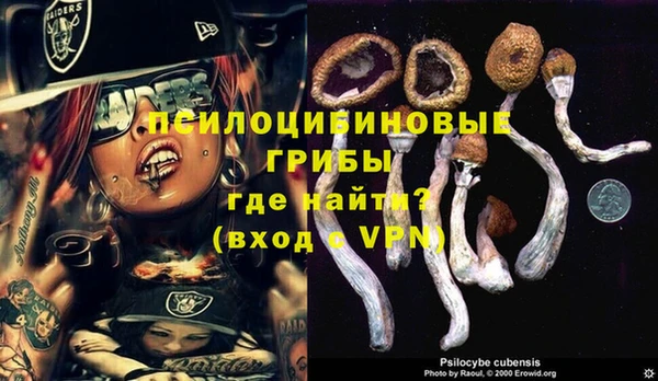 ALPHA PVP Богородск