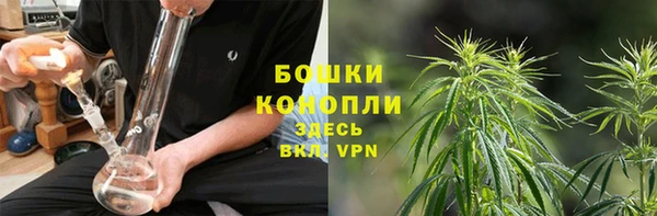дживик Протвино