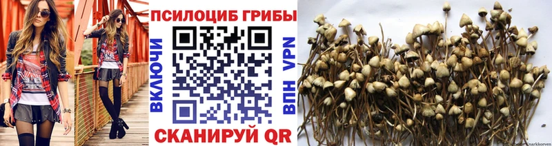 Псилоцибиновые грибы Magic Shrooms  Мелеуз 